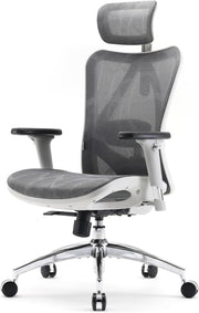Ergonomic Office Chair Light Gray Mesh Back 3D Armrest Adjustable Headrest