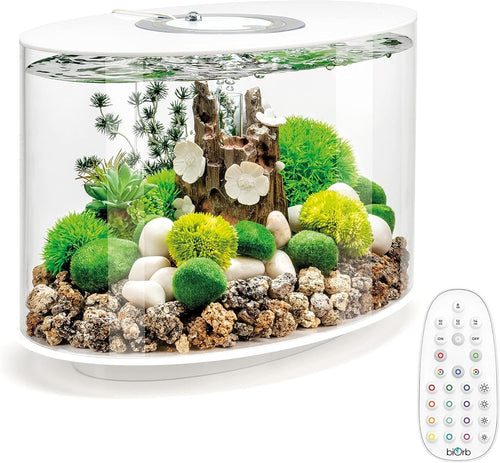 15L Acrylic Oval Aquarium with Remote LED Lights & 5-Step Filtration