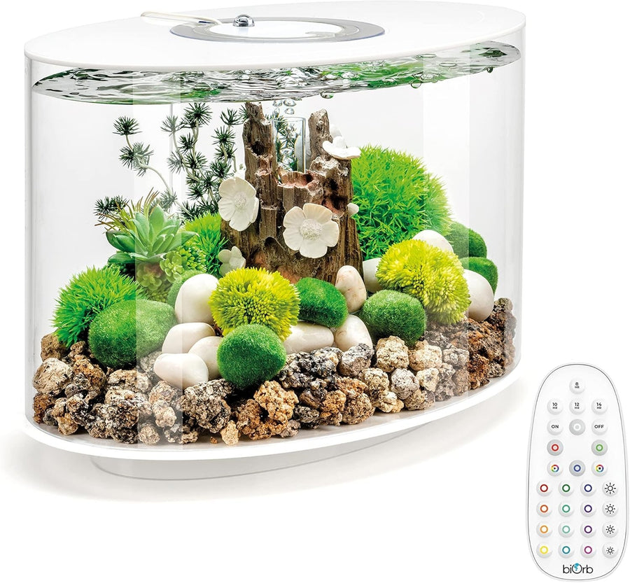 15L Acrylic Oval Aquarium with Remote LED Lights & 5-Step Filtration