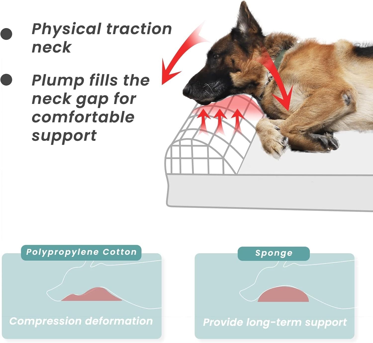 Large Orthopedic Memory Foam Dog Bed 46x28x8in Washable