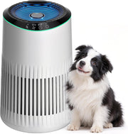 Quiet HEPA Air Purifier Bedroom Smoke Pet Odors Aromatherapy 22dB