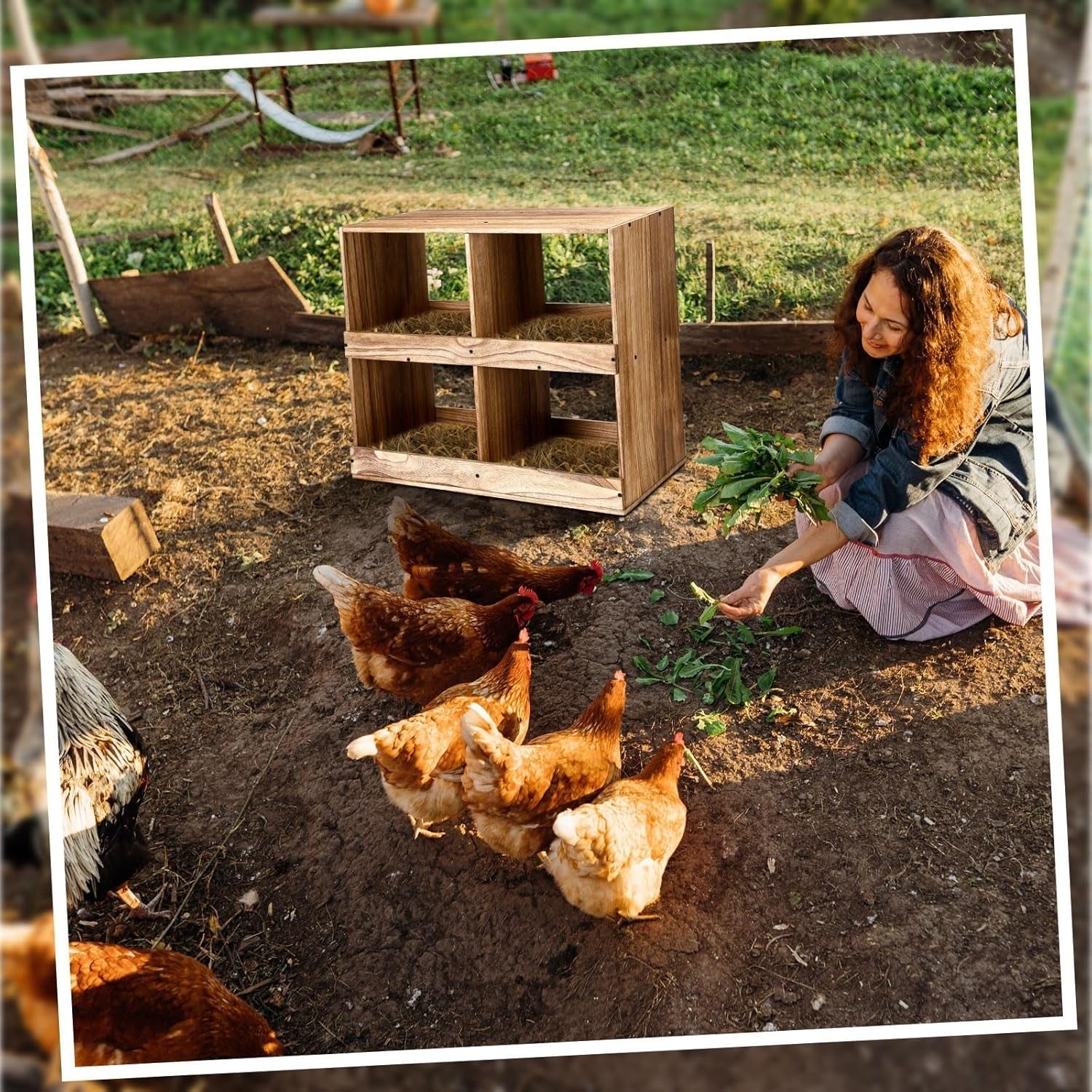 4 Compartment Wooden Chicken Nesting Boxes Easy Assembly