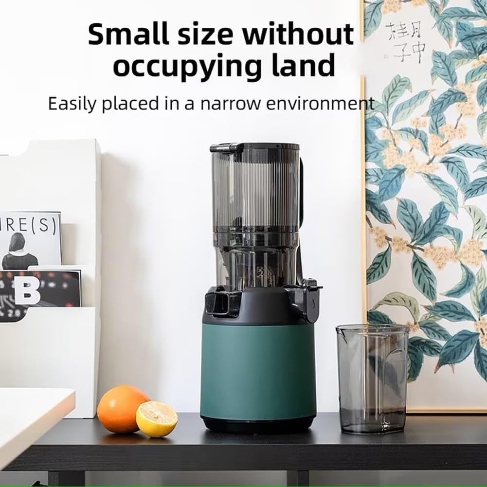 Self Feeding Slow Juicer Whole Fruit Masticating 37RPM Easy Clean 300W
