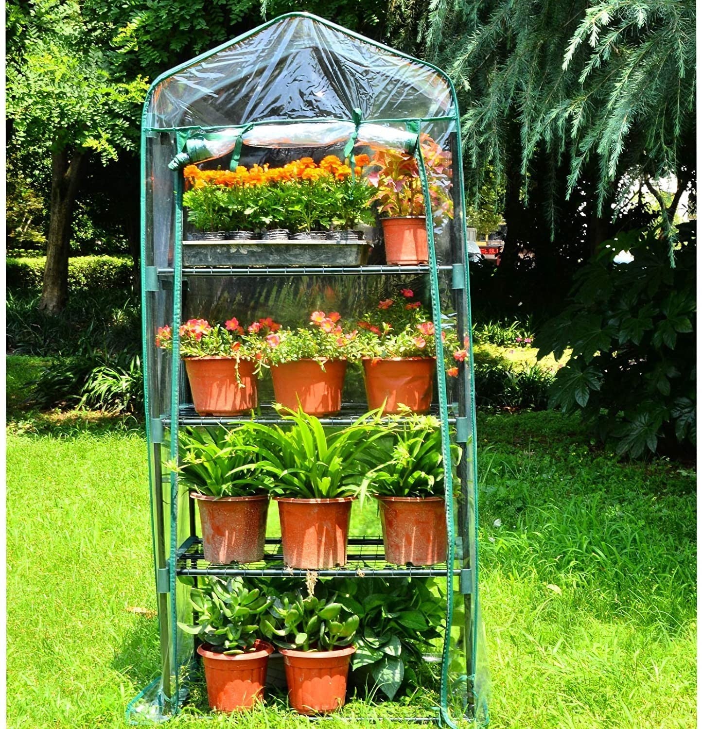4-Tier Mini Greenhouse | Compact PVC Plant House | Roll-Up Zip Door | Iron Frame
