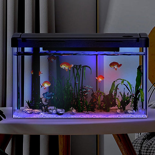 12L Acrylic Fish Tank with LED Light Filter Oxygen Pump Mini Aquarium