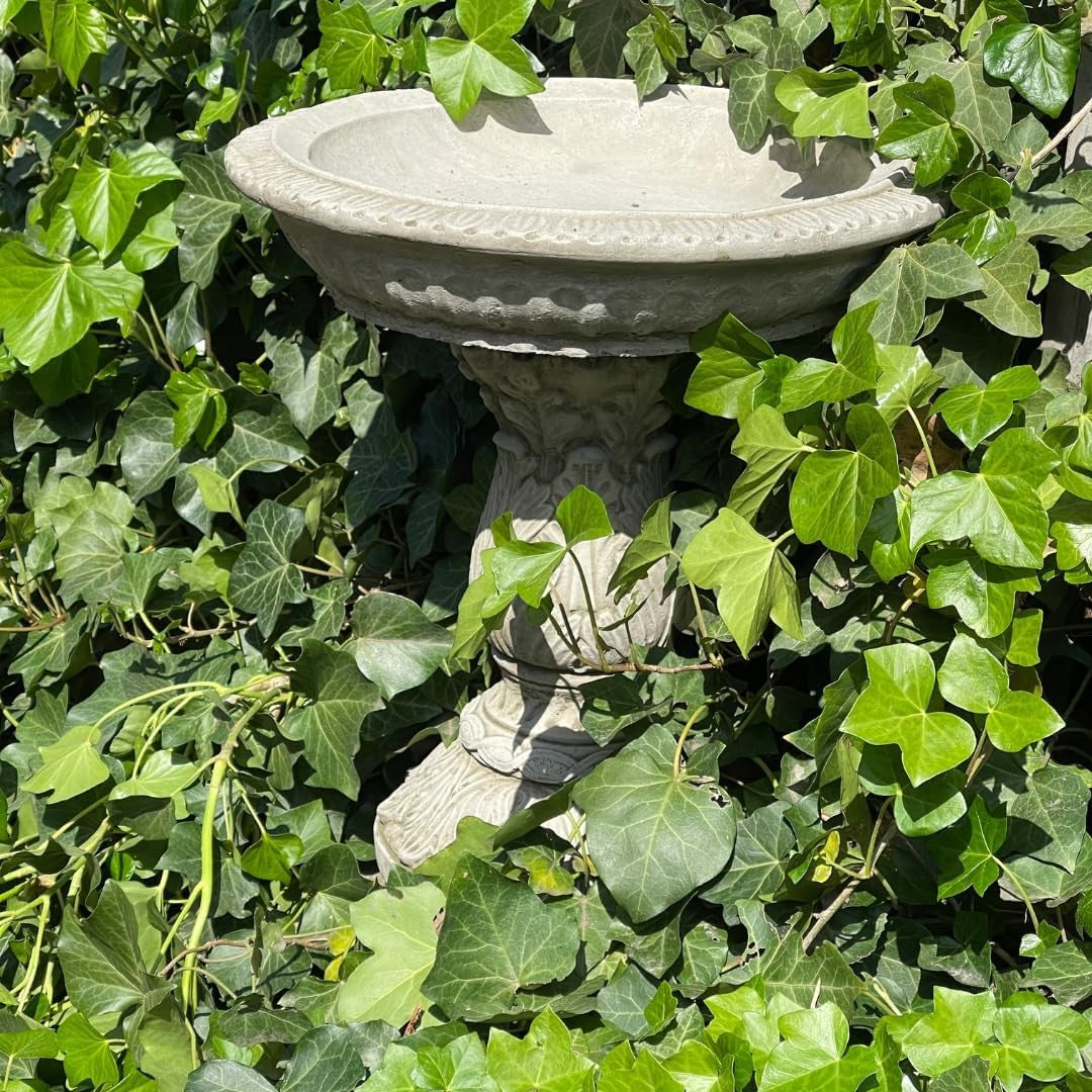 Stone Bird Bath Feeder Garden Ornament – Simple Round Bowl Cast Sculpture