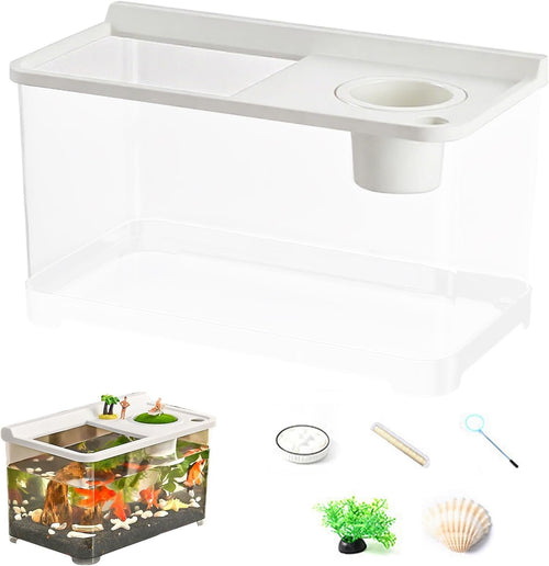 Betta Fish Tank with 3-Color Lights | Desktop Hydroponic Aquarium