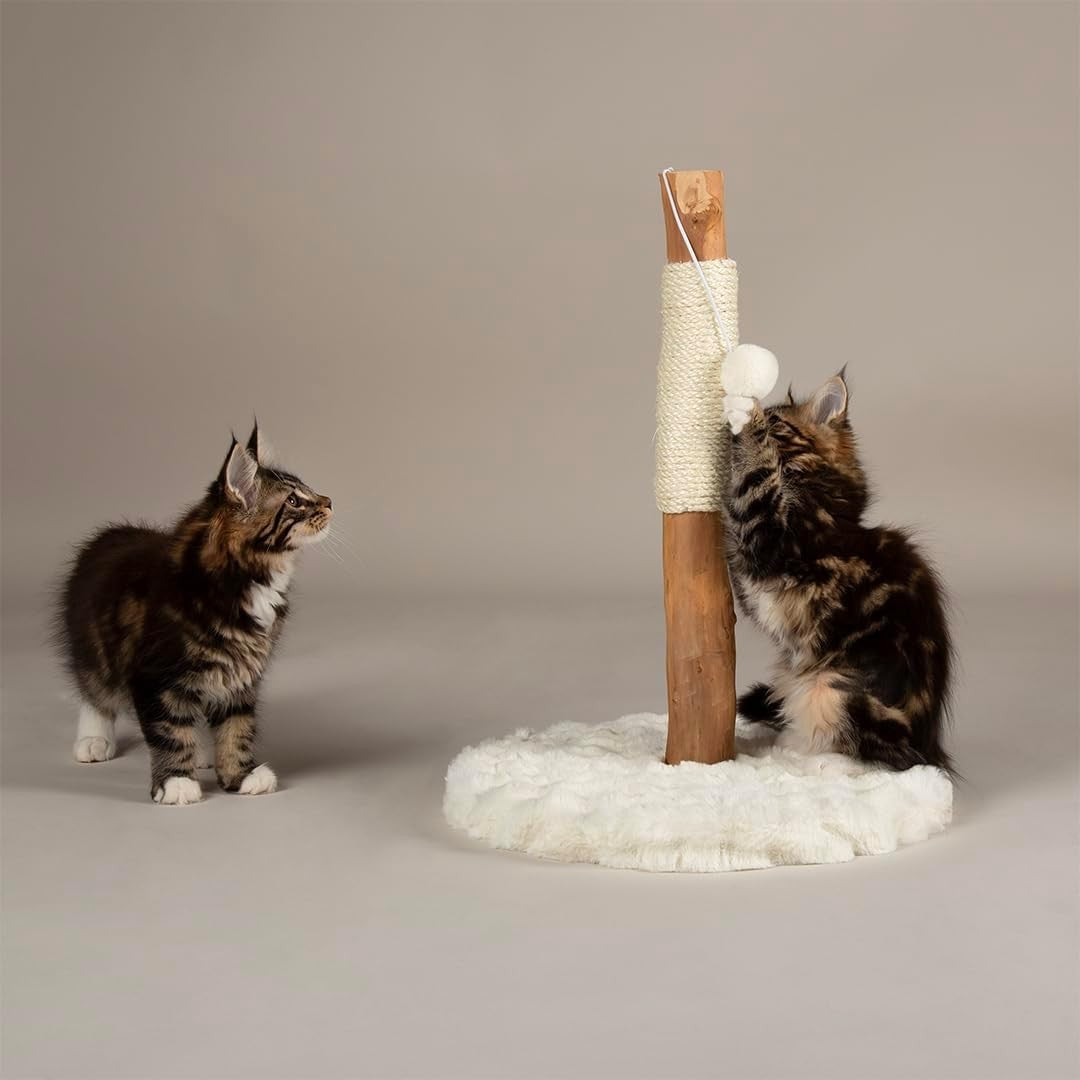 Kitten Cat Scratching Post Small Tree with Plush Base & Natural Wood Pole