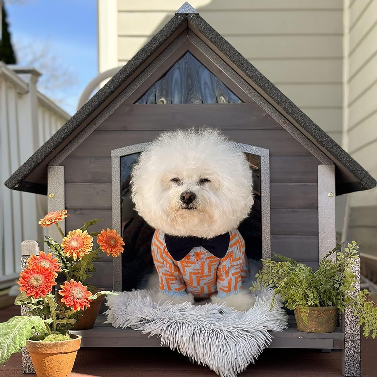 Weatherproof Outdoor Dog House with Anti-Bite Metal Frame & Raised Floor 115x84x