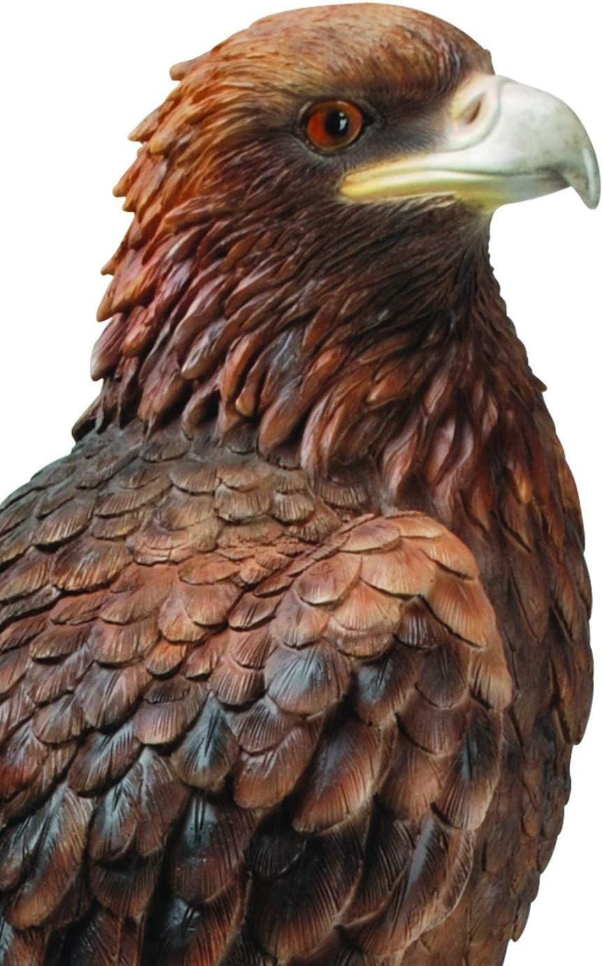 Large Golden Eagle Resin Statue 40cm • Realistic Garden Decor • Indoor Outdoor