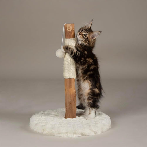 Kitten Cat Scratching Post Small Tree with Plush Base & Natural Wood Pole