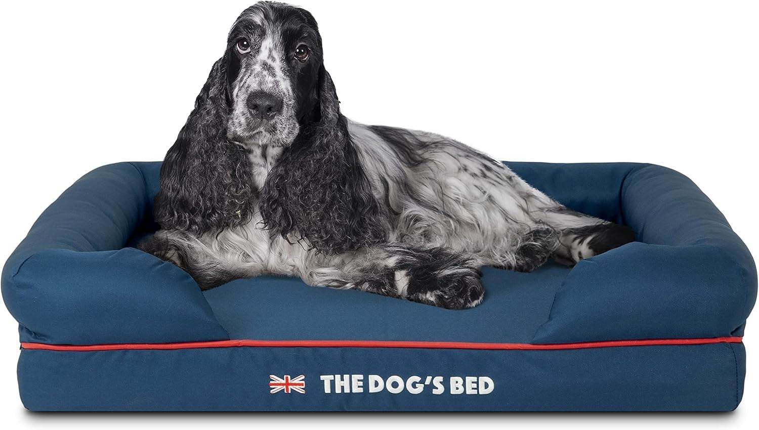 Orthopedic Memory Foam Dog Bed Medium Washable 77x60cm