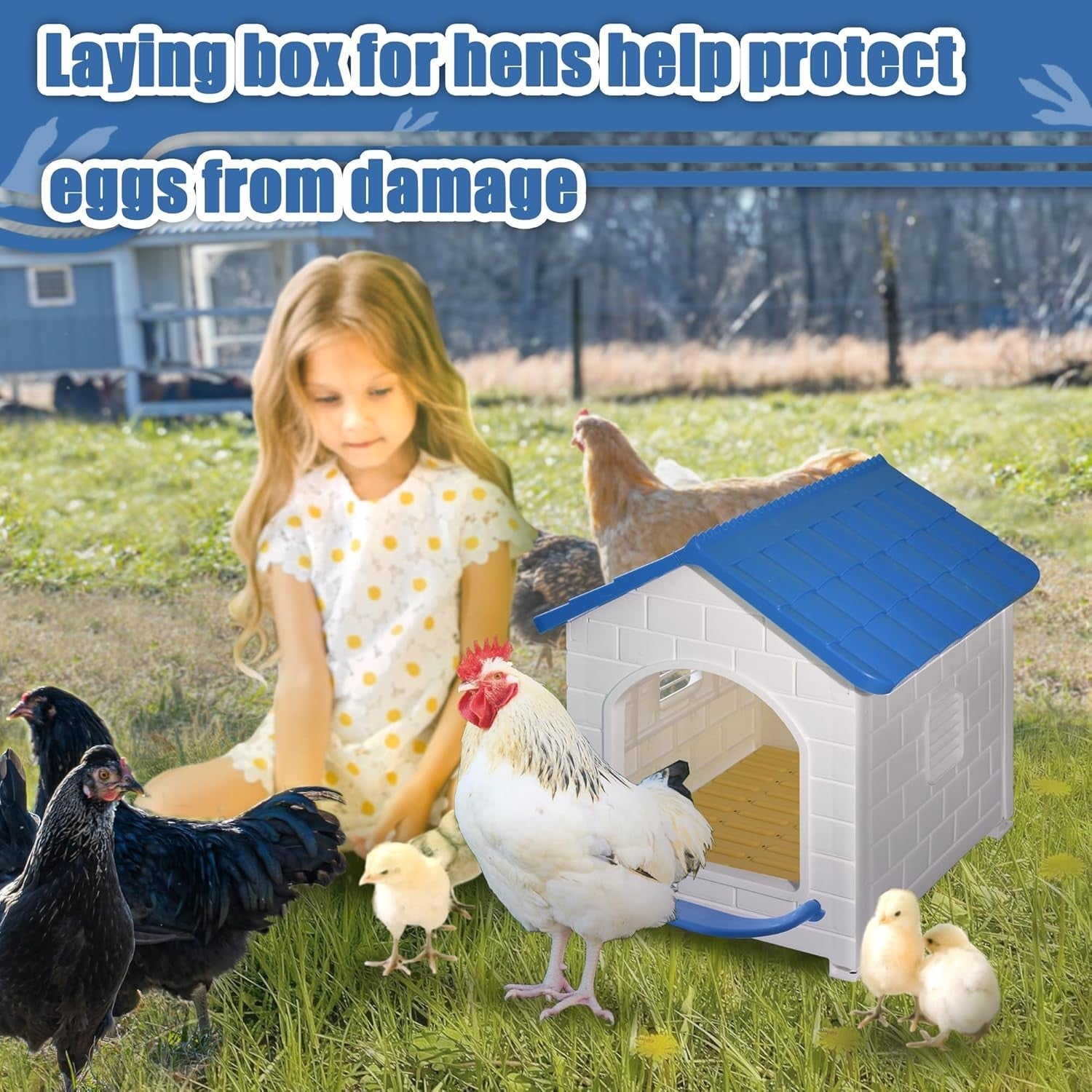 Large Plastic Chicken Nesting Box 1 Pack Easy Clean Wall Mounted
