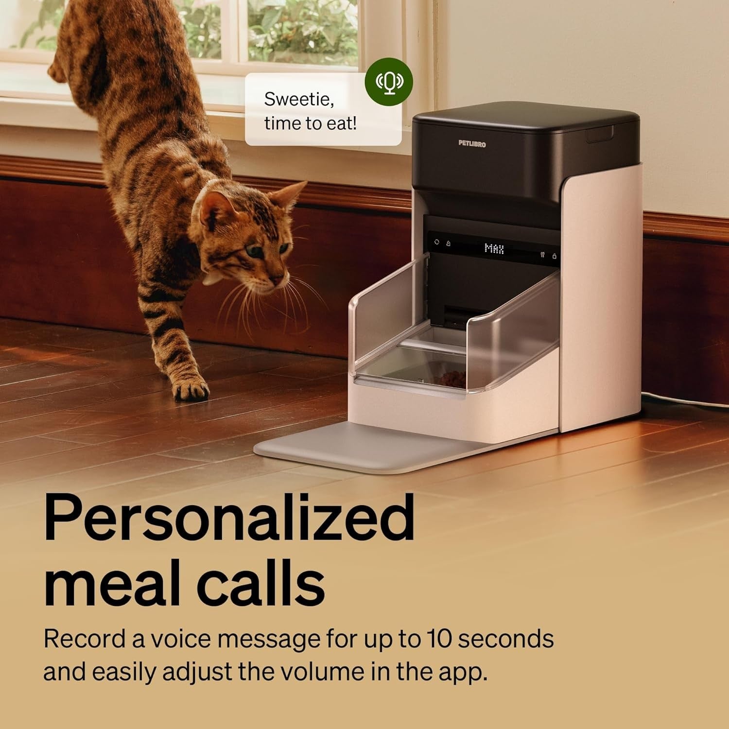 RFID Automatic Cat Feeder WiFi Smart Food Dispenser Diet Tracking 3L