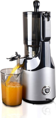 Self Feeding Slow Juicer Whole Fruit Masticating 37RPM Easy Clean 300W