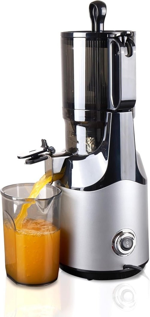 Self Feeding Slow Juicer Whole Fruit Masticating 37RPM Easy Clean 300W