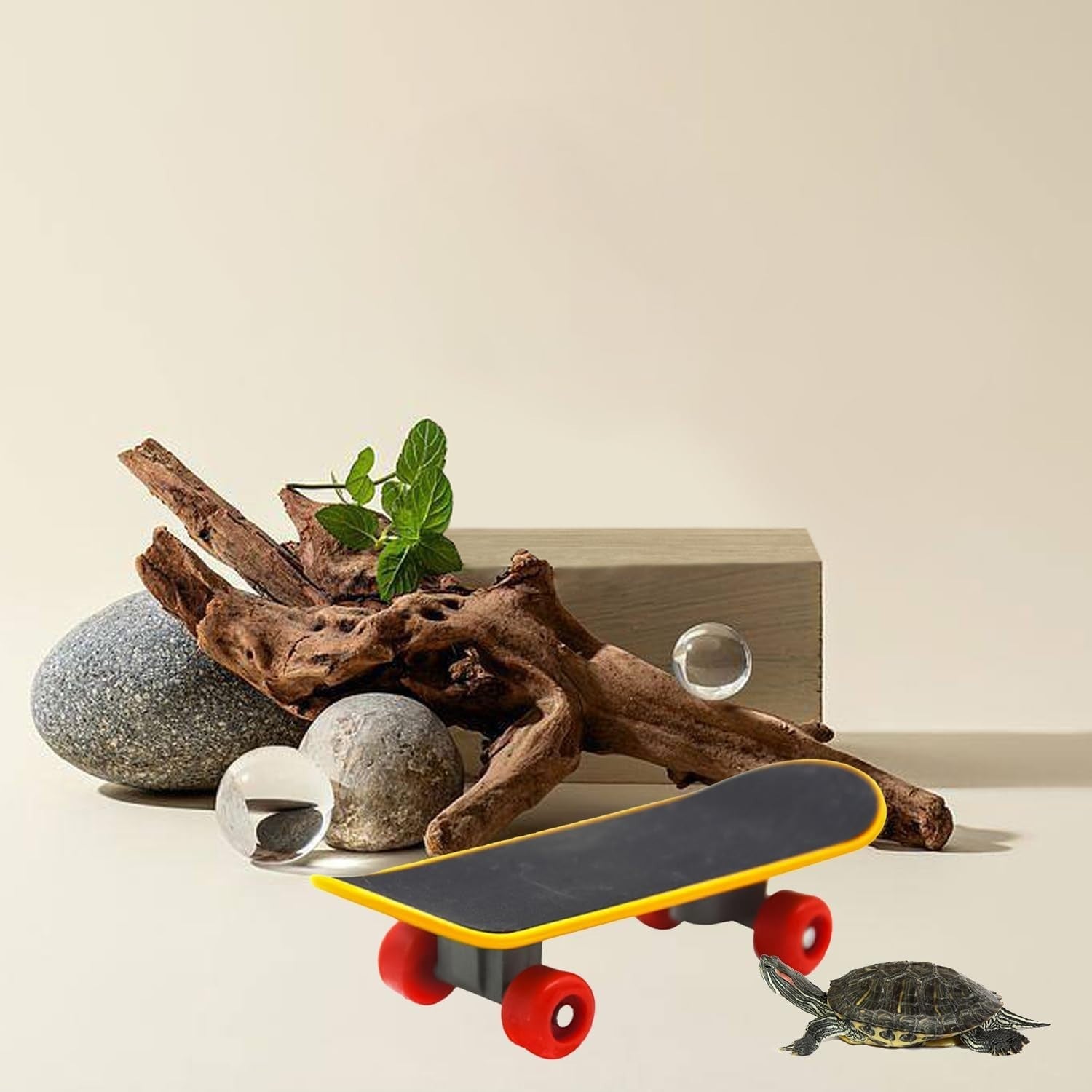 Mini Turtle Training Skateboard Toy Pet Reptile Exercise Board Fun Tiny Skater