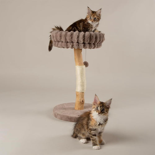 Luxury Cat Scratching Plush Bed Natural Wood Sisal Post Indoor