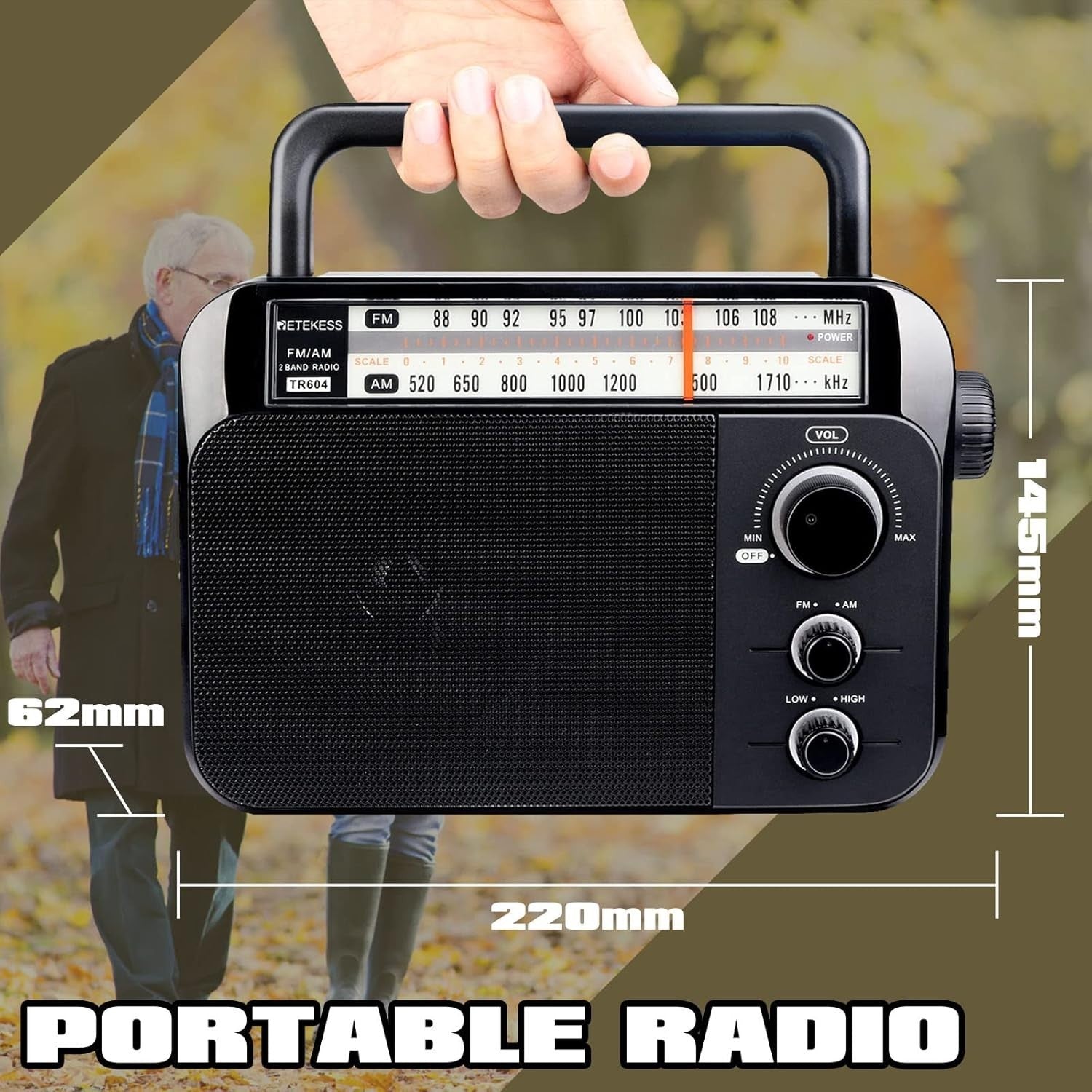 Portable AM FM Radio Battery & Mains Large Speaker