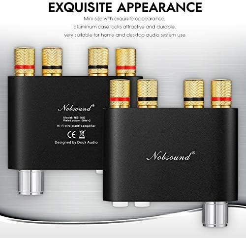Bluetooth 5.0 2 Channel Mini HiFi Amplifier NS-10G 50Wx2 USB AUX