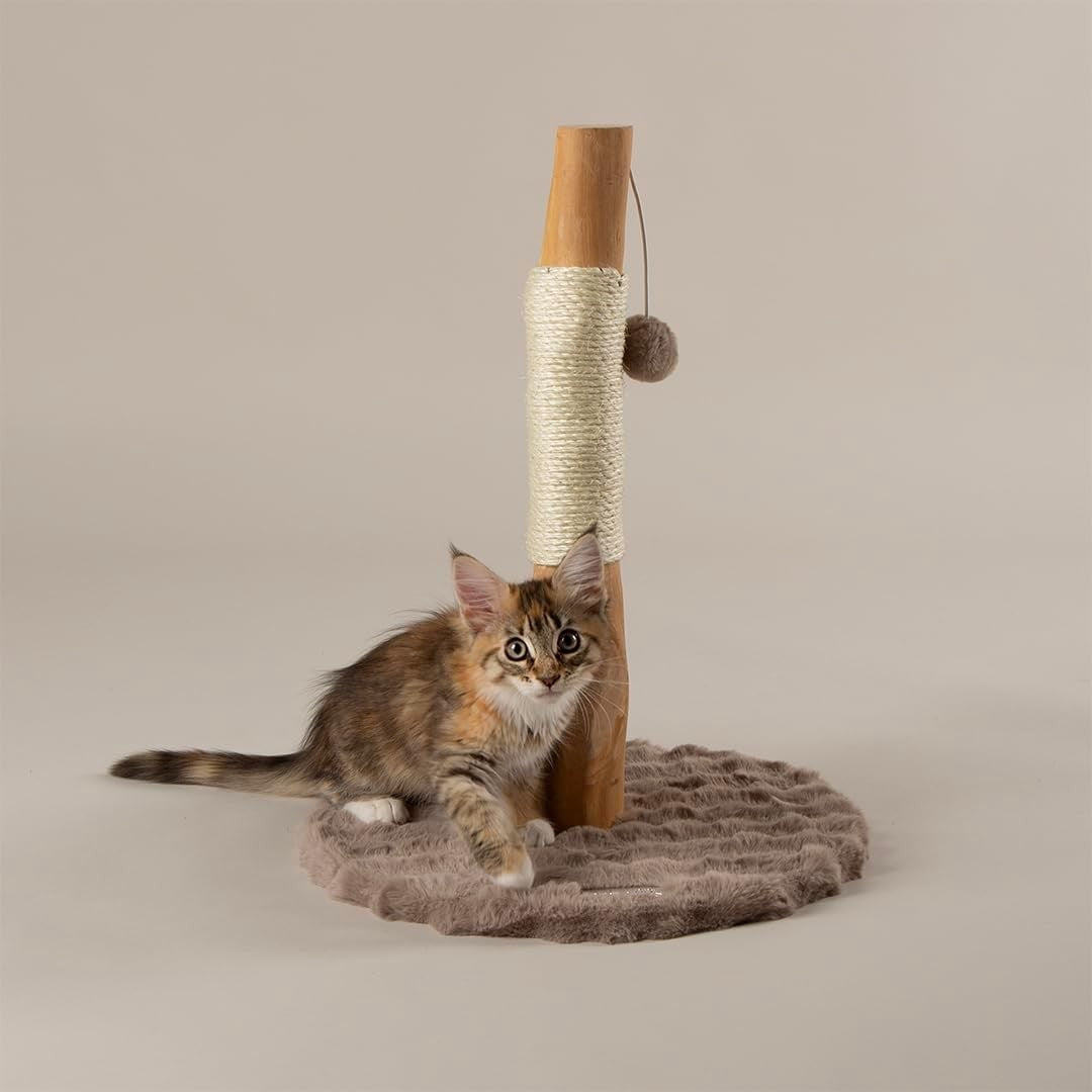 Kitten Cat Scratching Post Tree Compact Sisal Scratch Toy Indoor Small Cats