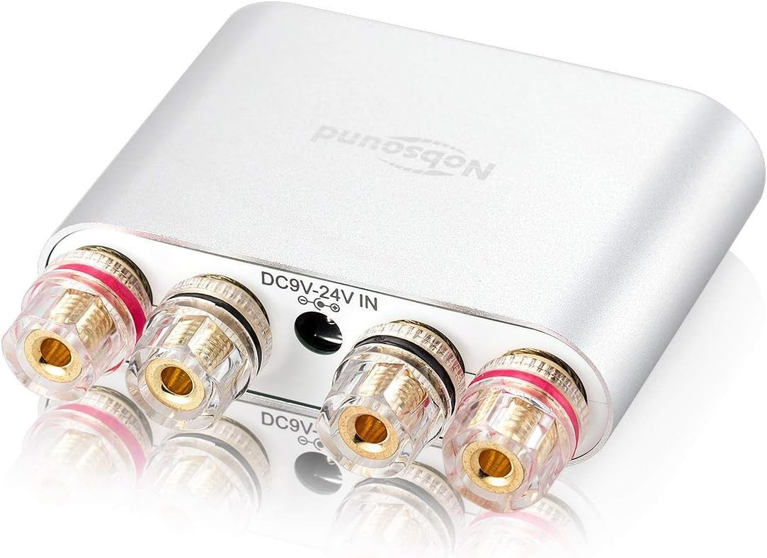 100W Bluetooth 5.0 Stereo Amplifier HiFi DSP 2 Channel 24V