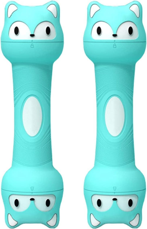 Adjustable Dumbbells Pair 2–4kg Hand Weights Home Fitness Set