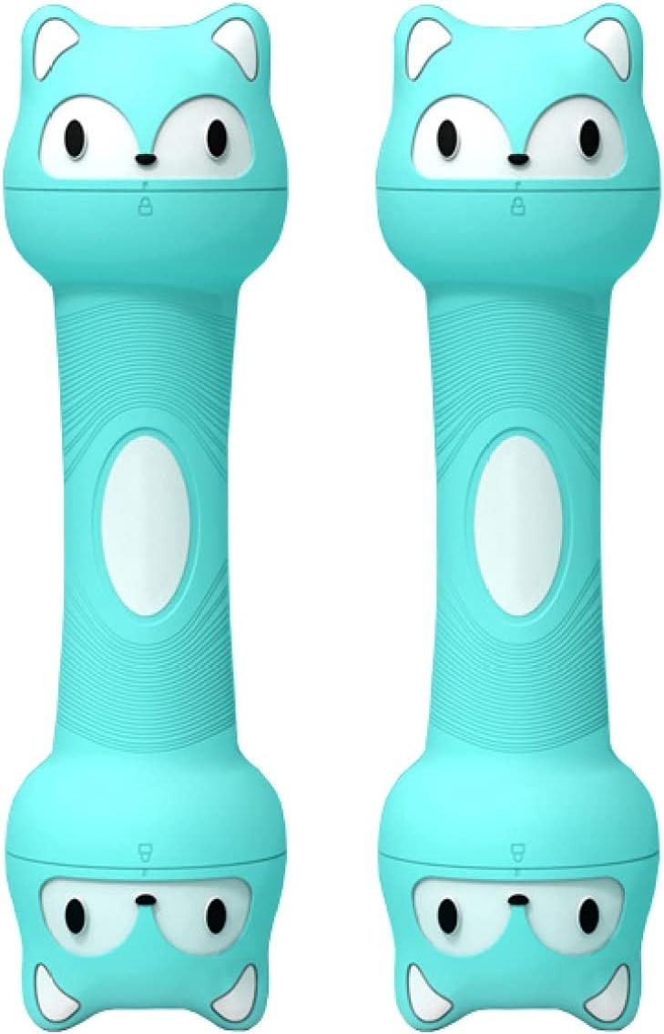 Adjustable Dumbbells Pair 2–4kg Hand Weights Home Fitness Set