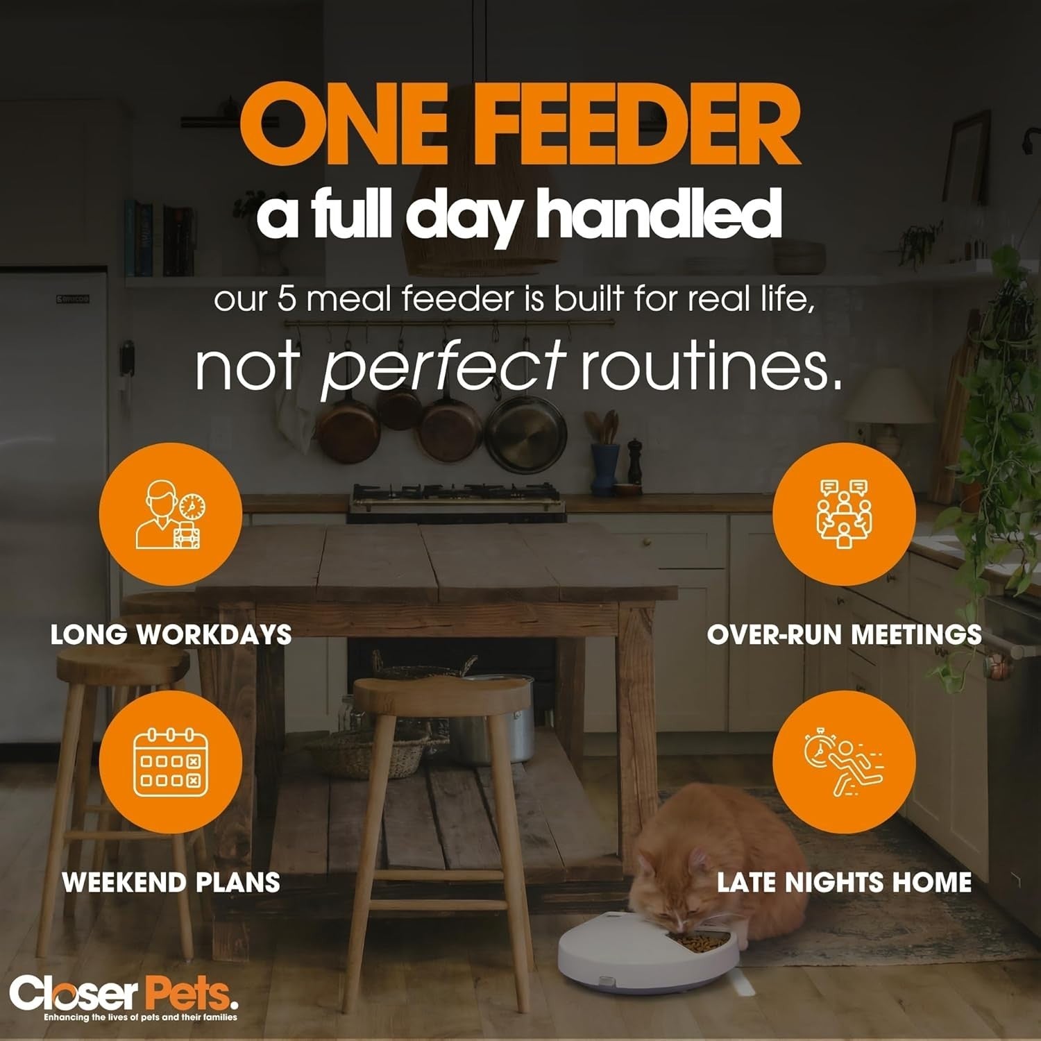 5 Meal Automatic Pet Feeder Digital Timer Stainless Steel Bowls