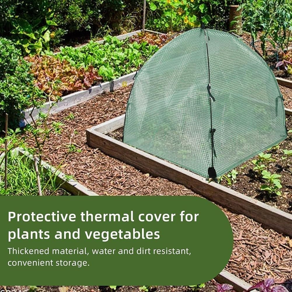 Mini Greenhouse Cold Frost Protection Tent 60x60x60cm Transparent Garden Cover