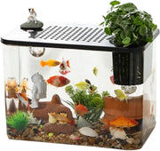 Desktop Betta Aquarium Tank | Small Turtle Fish Tank Kit for Home Office
