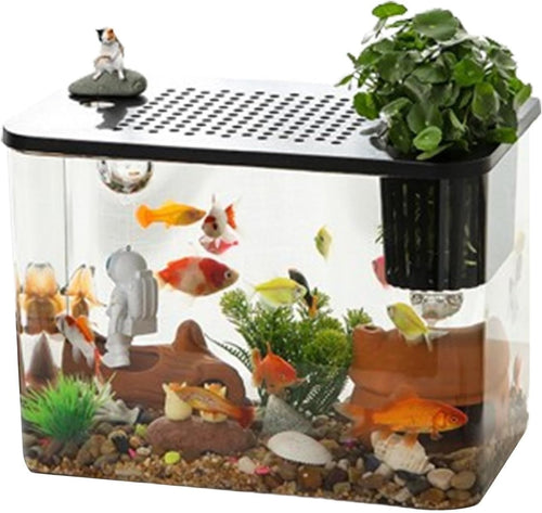 Desktop Betta Aquarium Tank | Small Turtle Fish Tank Kit for Home Office