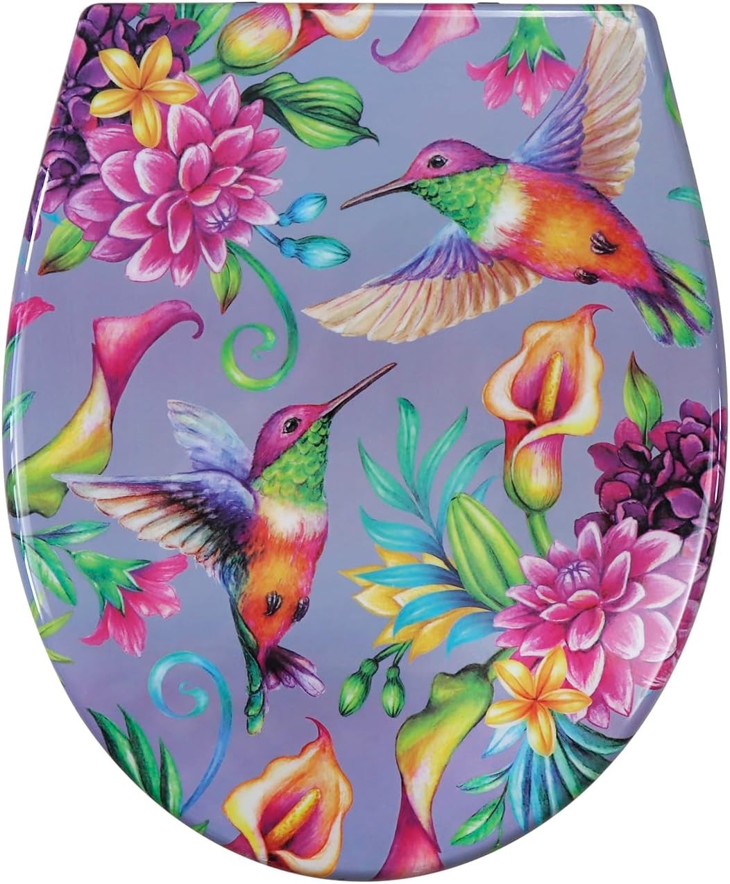Colorful Toilet Seat Soft Close Duroplast Quick Release Top Fix 45x37cm