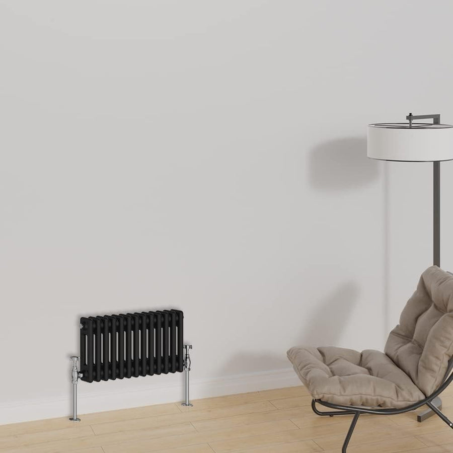 Horizontal Cast Iron Radiator 300x605mm Double Panel Black Heating