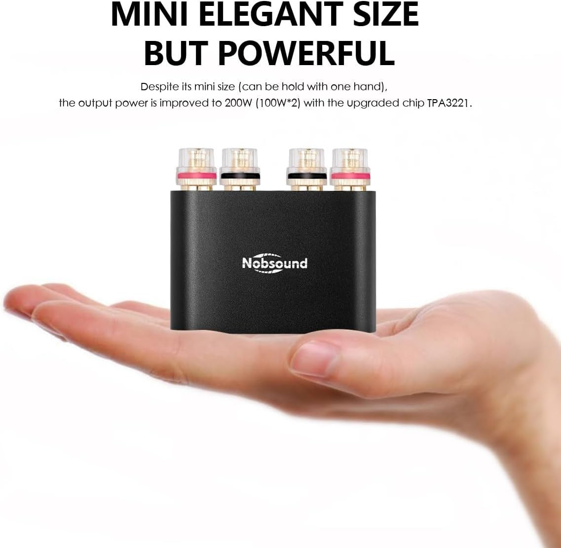 100W x2 Bluetooth Mini Amplifier HiFi Stereo DSP Audio Amp