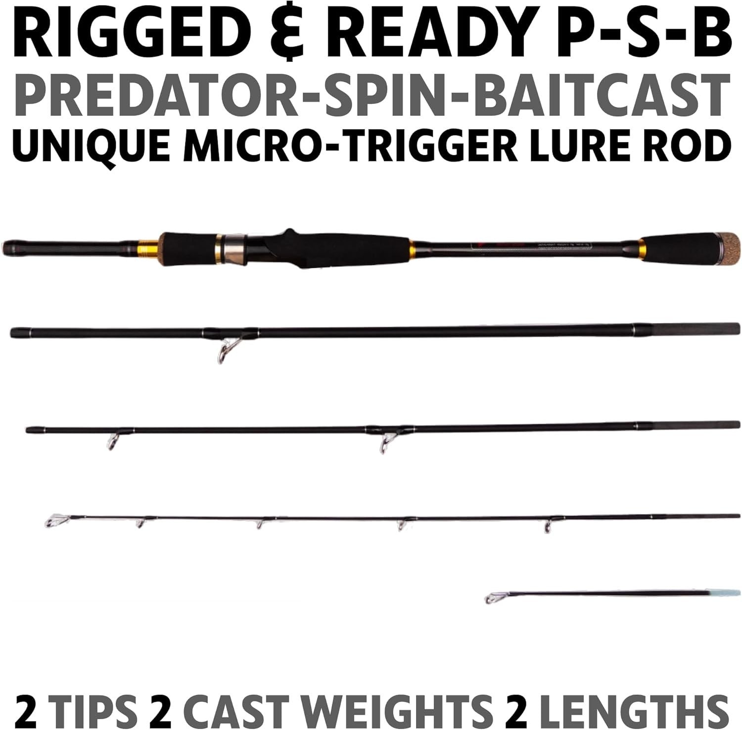 Travel Spin & Baitcast Fishing Rod 4-Section 2 Tips Compact Carbon Rod
