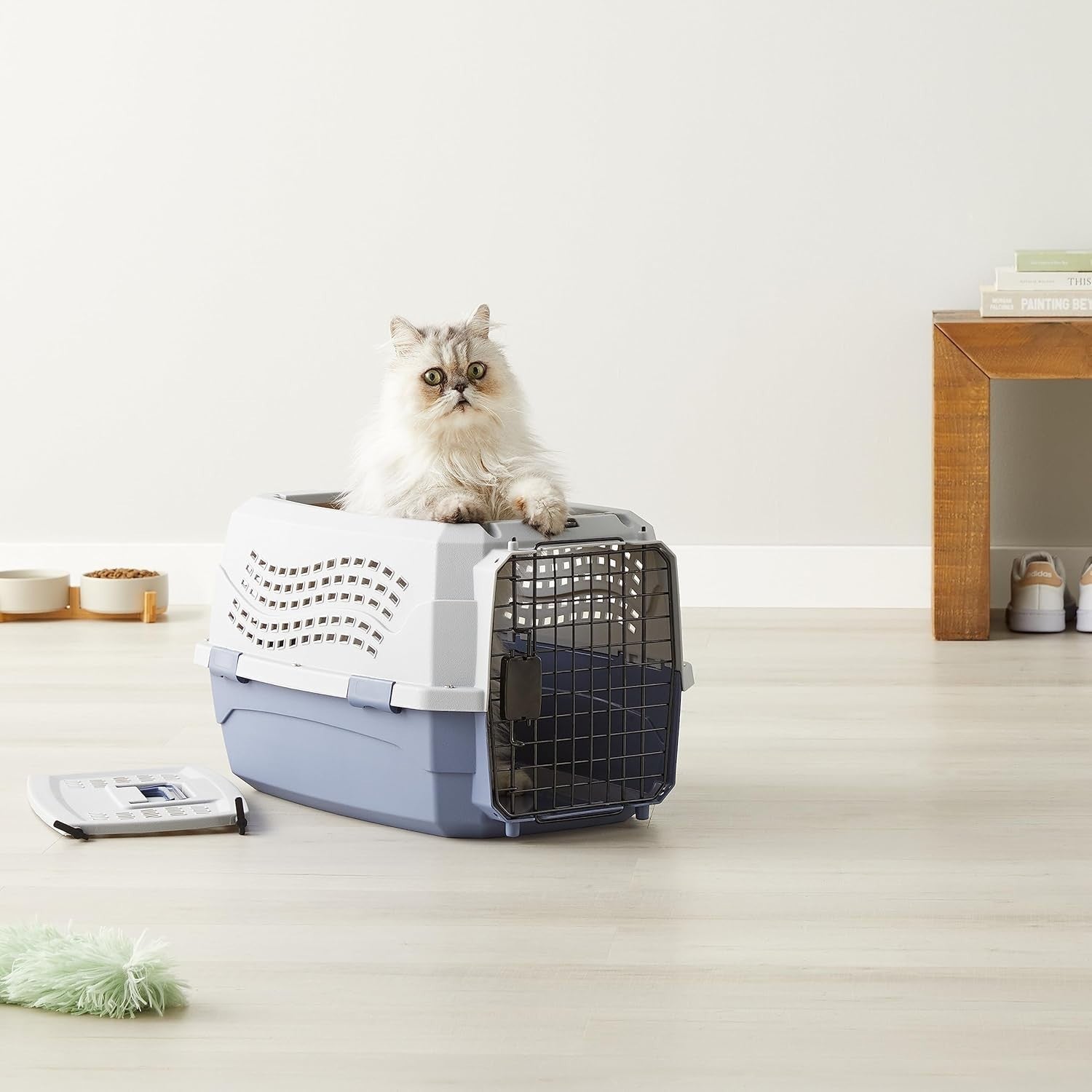 Durable Hard-Sided Pet Carrier with Two Doors & Top-Load Design 58x38x33cm