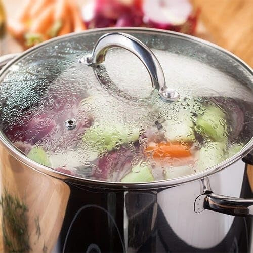 24cm Stainless Steel Stock Pot 8.5L Induction Pan with Glass Lid Dishwasher Safe