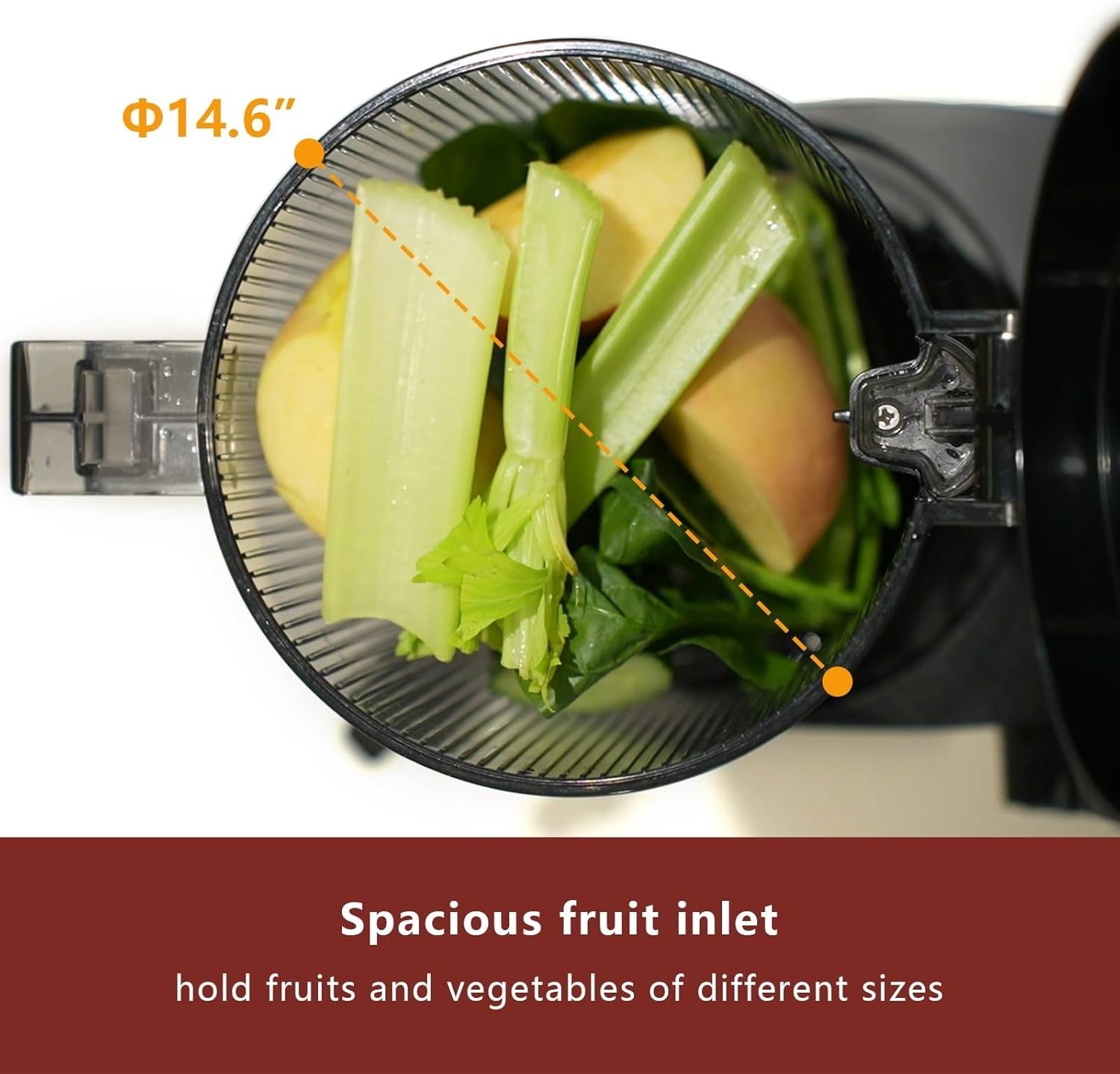 Cold Press Juicer Whole Fruit Slow Masticating High Yield Auto Reverse