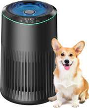 Quiet HEPA Air Purifier Sleep Mode Aromatherapy Pet Smoke Odor