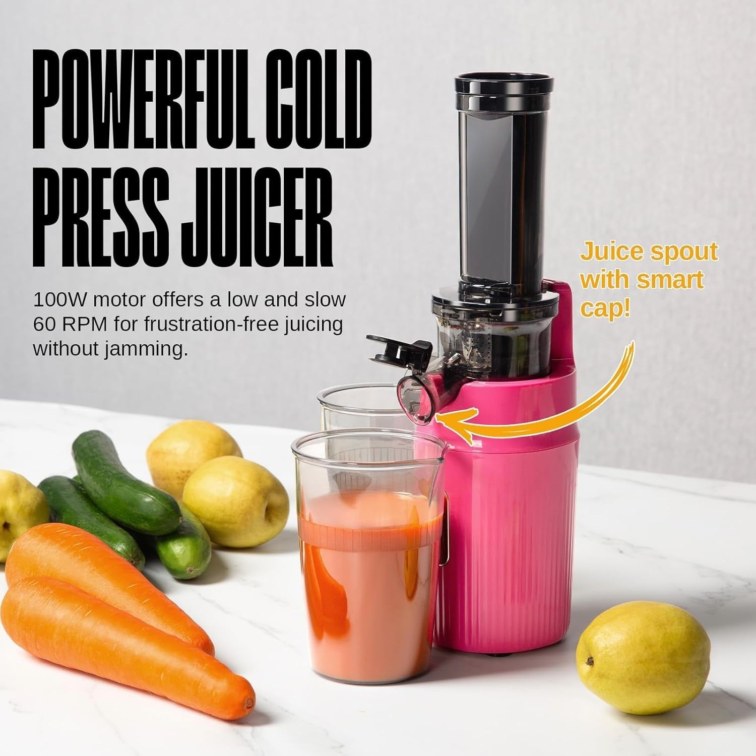Mini Cold Press Juicer Slow Masticating 60RPM Compact Portable