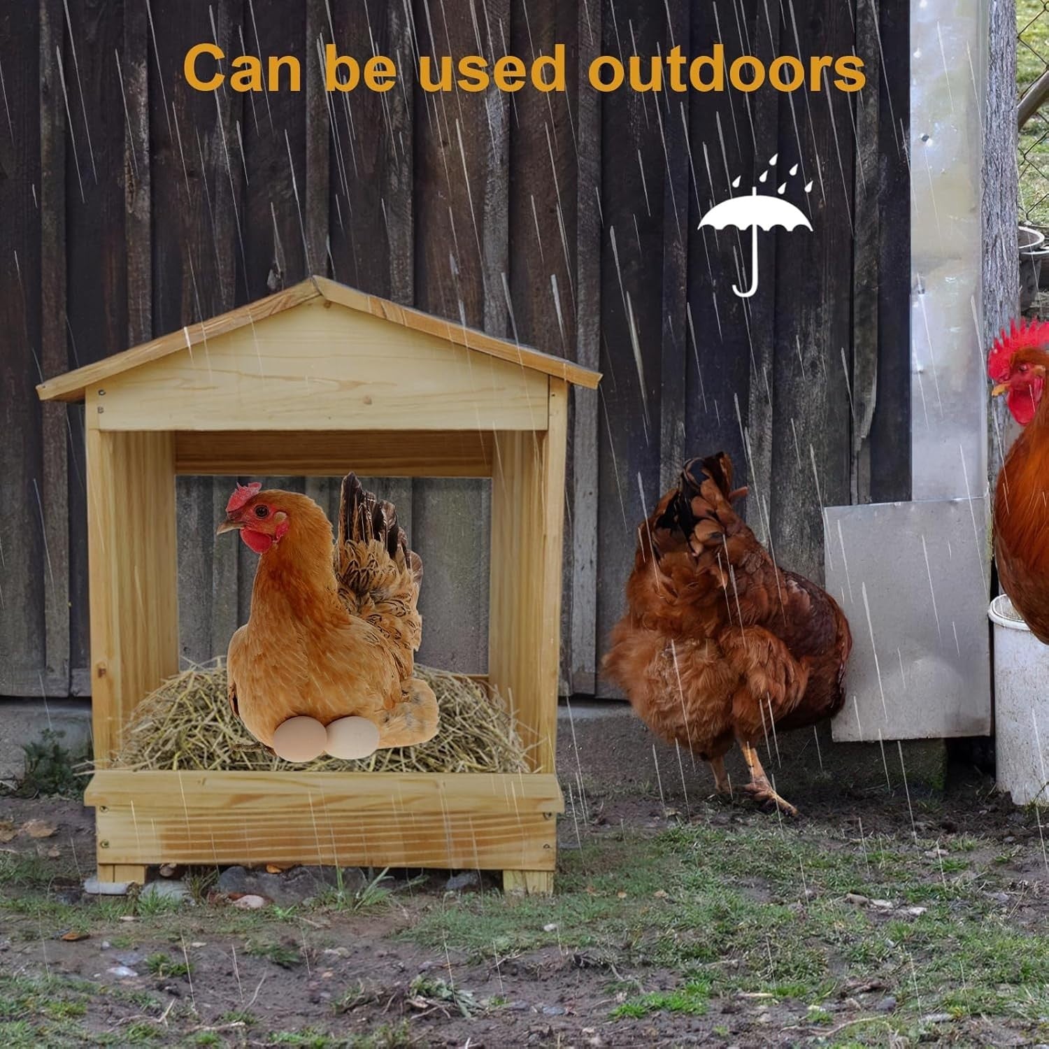 3 Compartment Wooden Chicken Nesting Box Wall Mount
