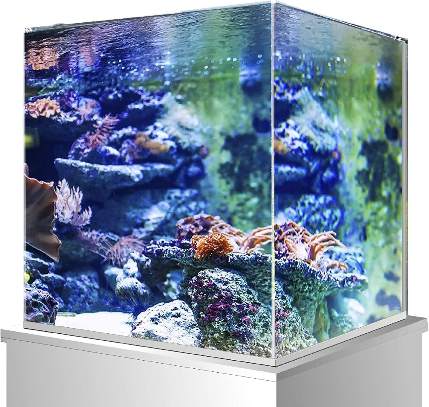 25L Cube Aquarium Glass Tank for Shrimps, Crabs & Small Fish
