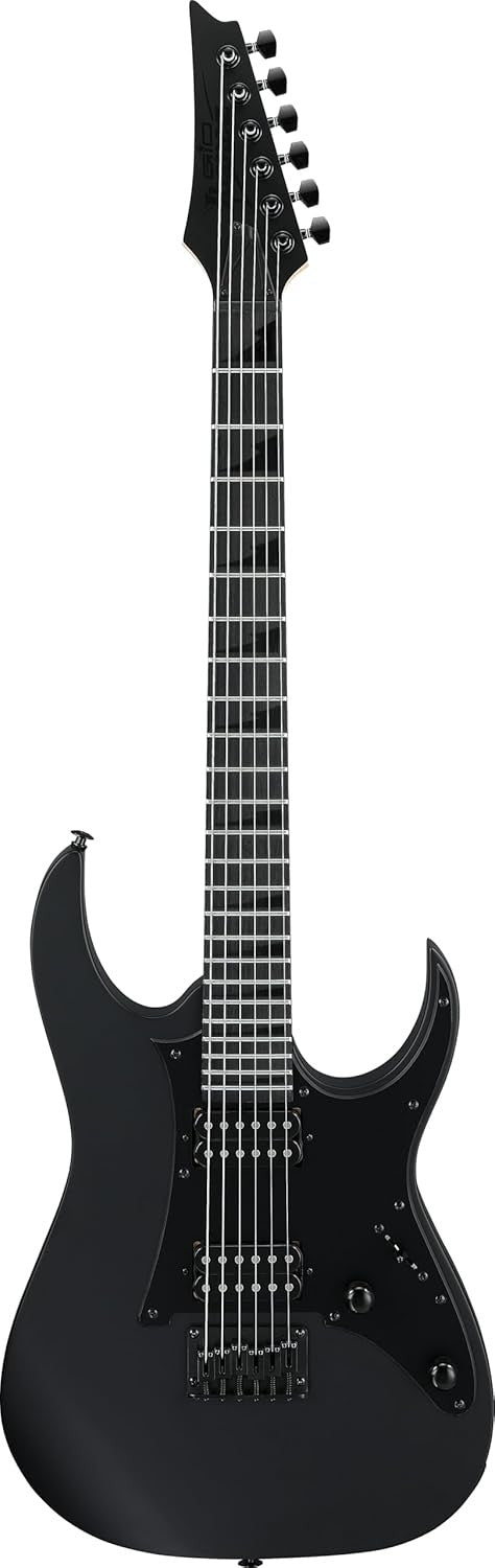 Super Strat Electric Guitar Black Flat HH Pickups Tremolo