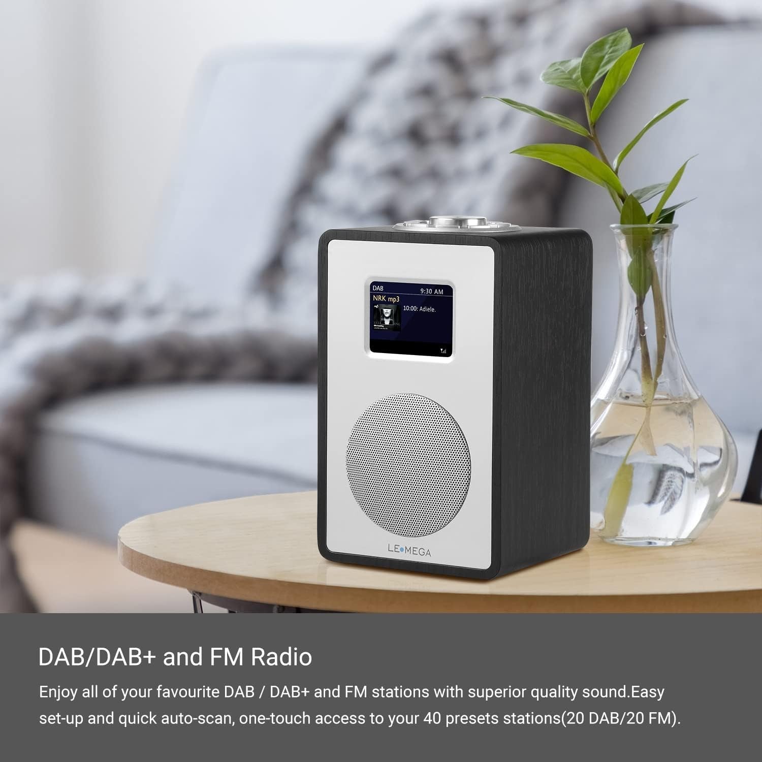 DAB DAB+ FM Digital Bluetooth Dual Alarm Wooden Effect Display