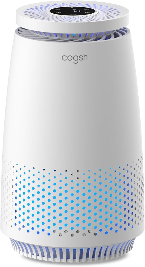 HEPA Air Purifier for Home Pets Dust Smoke Quiet Sleep Mode Timer
