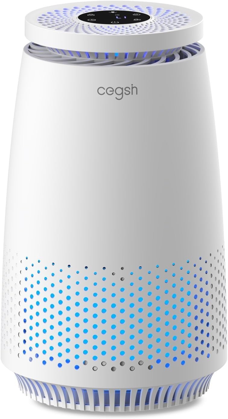 HEPA Air Purifier for Home Pets Dust Smoke Quiet Sleep Mode Timer