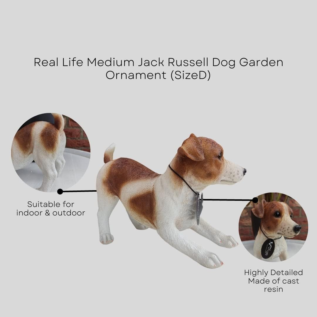 Realistic Jack Russell Dog Garden Ornament – Frost-Resistant Outdoor Statue