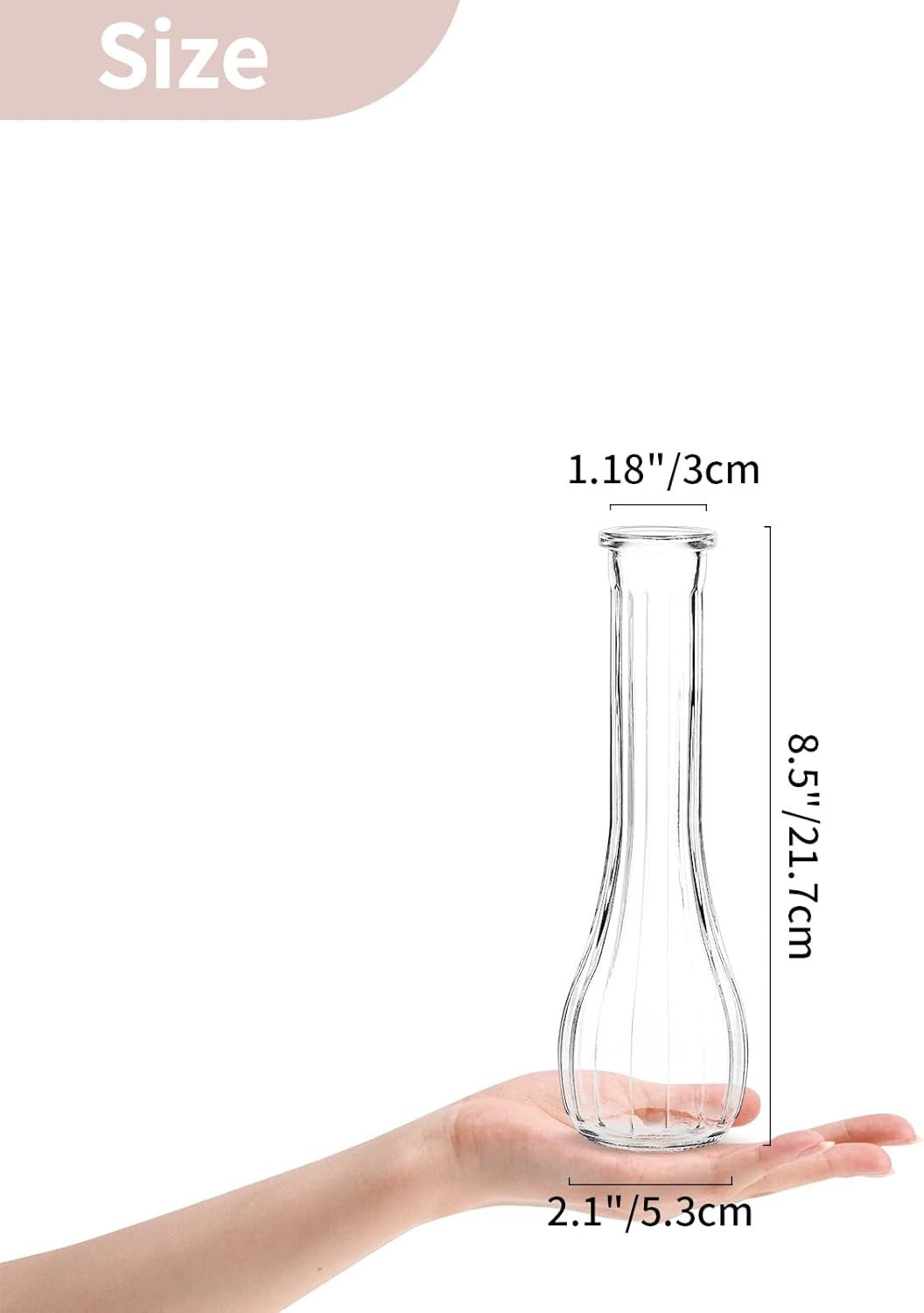 Clear Glass Bud Vase Set of 12 Tall Ribbed Flower Vases Wedding Table Decor