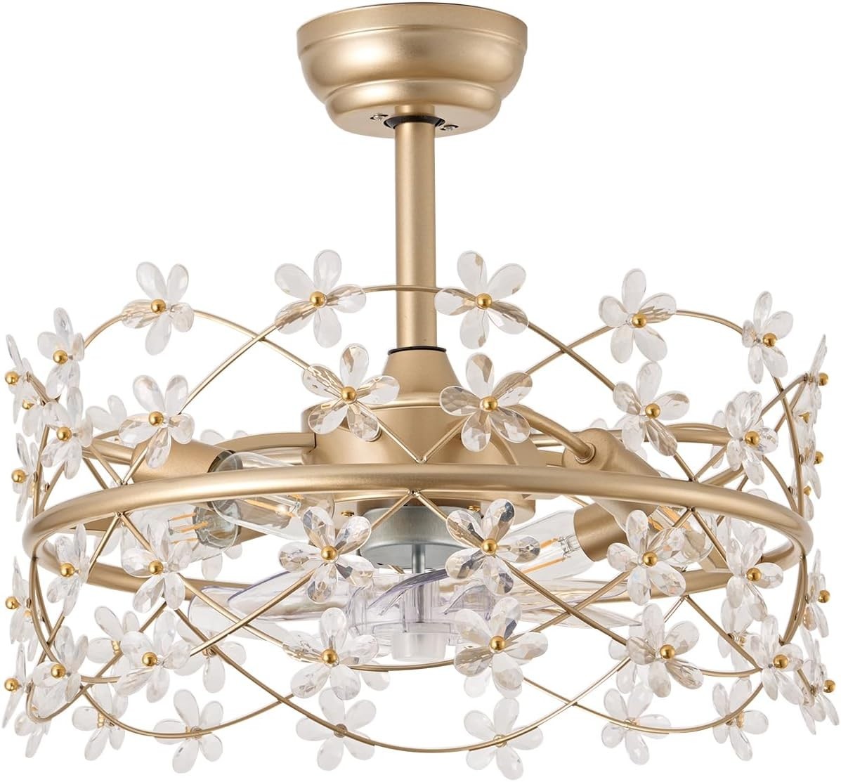 Youngrender 20" Gold Ceiling Fan with Light, Flower Chandelier, Remote